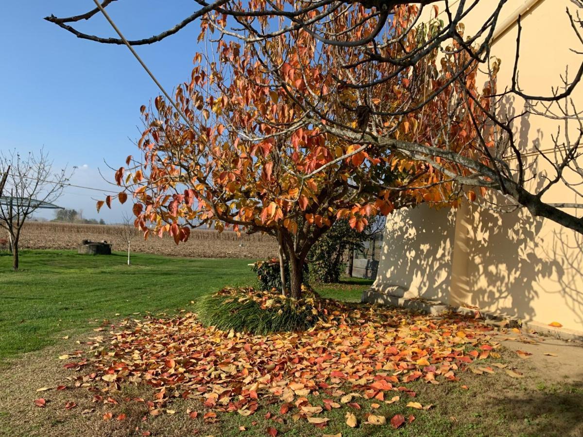 Agriturismo Cascina Mariale Villa Albiano dʼIvrea Exterior foto