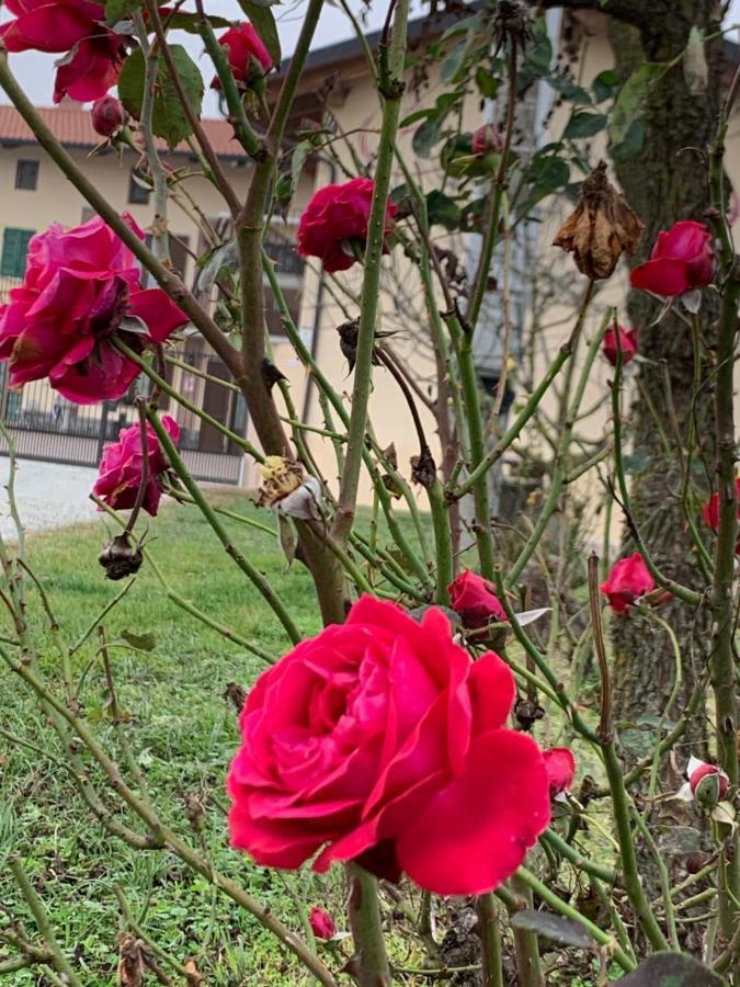 Agriturismo Cascina Mariale Villa Albiano dʼIvrea Exterior foto